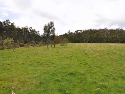 Wattle Grove