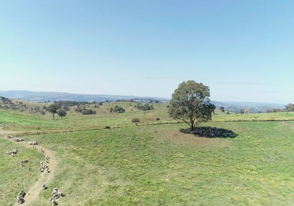 1257 Bundalah Road, Euchareena