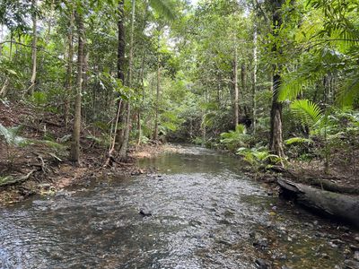 Lot 21, Old Dairy Road, Cooktown