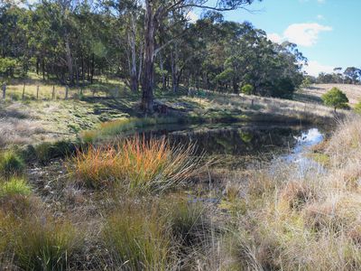 13983 Gwydir Highway, Shannon Vale