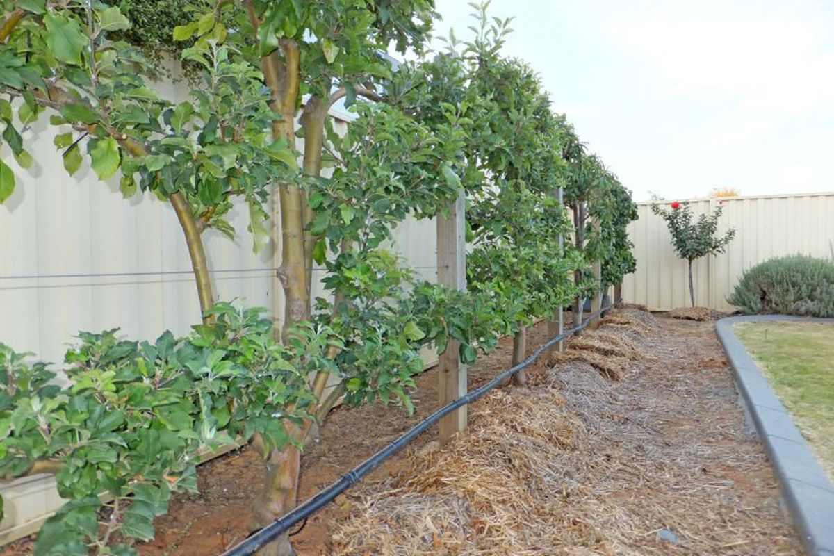 1 Pigatto Close, Kyabram