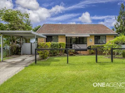 58 Bluejay St, Inala