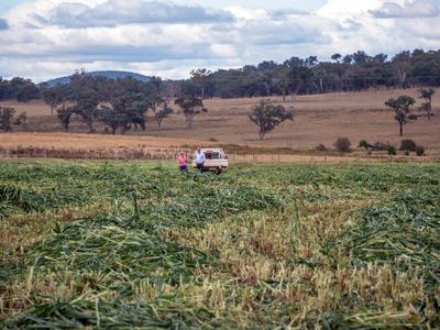 Lot Plain View Aggregation, 916 Emmaville Road, Glen Innes