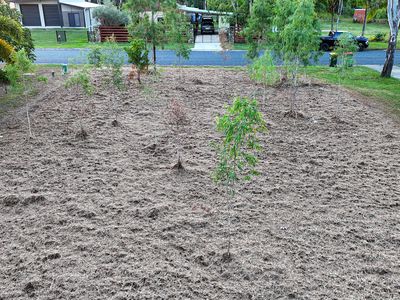 28 Marine Parade, Midge Point