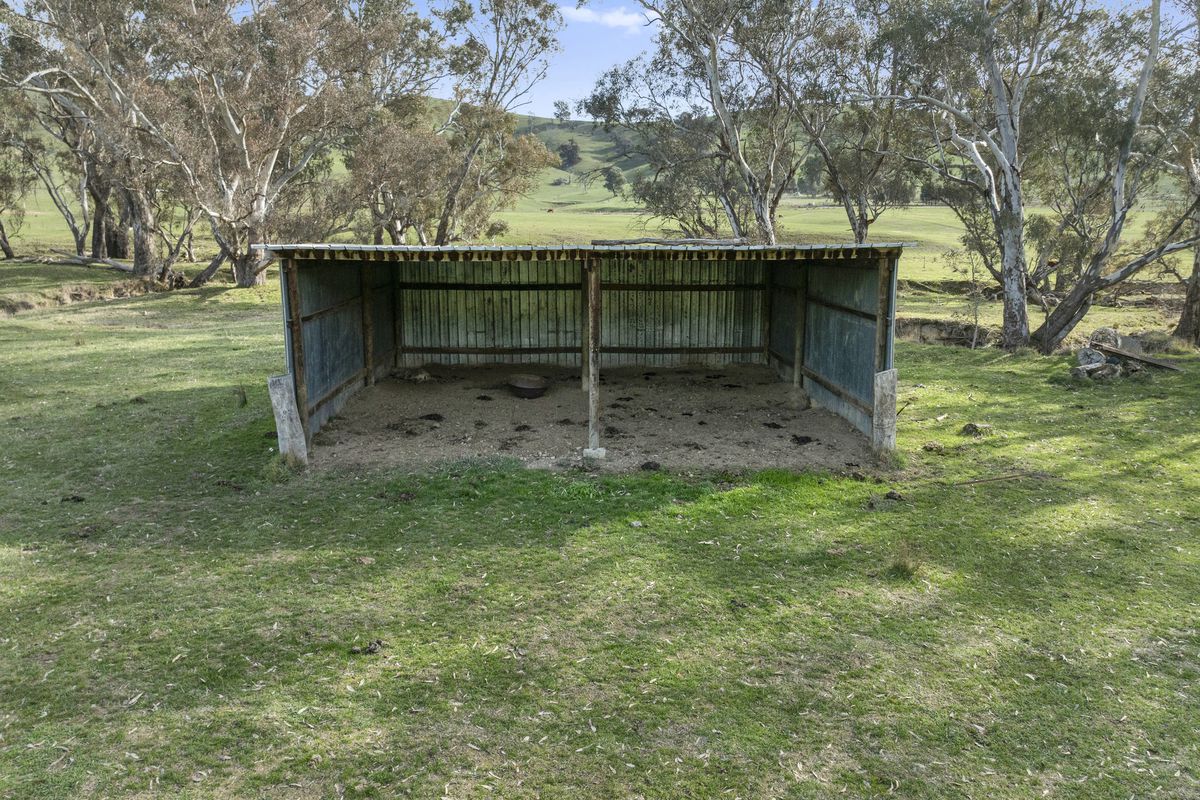 251 Woolshed Road, Woodfield
