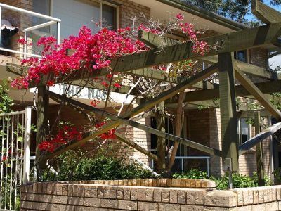 6 / 56 Booner Street, Hawks Nest