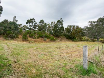 8878 Midland Highway, Harcourt