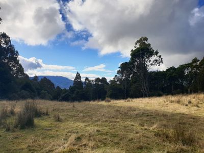 Lot 1 (East) Coal Mine Road, Kaoota