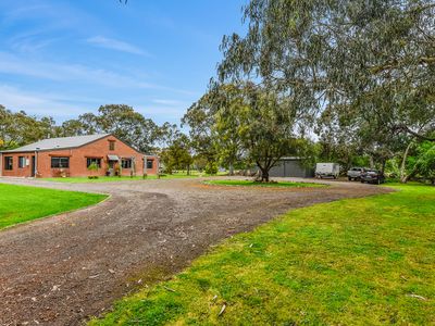169 Williams Road, Millicent