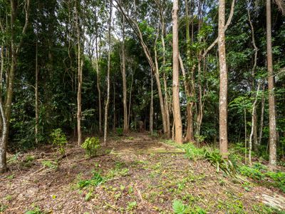 21 Carrington Drive, Flaxton