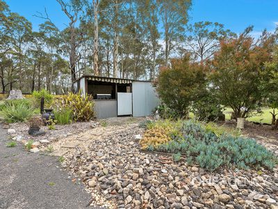 46 Eucalypt Lane, Tomerong