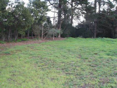 36 Rendelsham Rd, Millicent