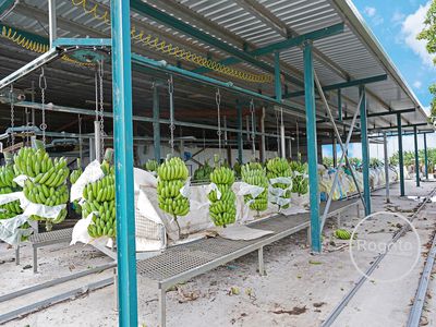 387 Fassio Road, Mareeba