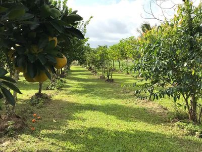50 Moresby Road, Moresby