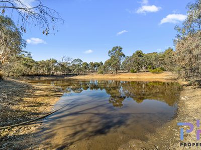 19 Trent Court, Axe Creek