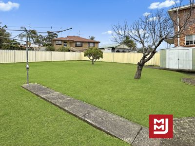 20 Lindesay Street, Barrack Heights