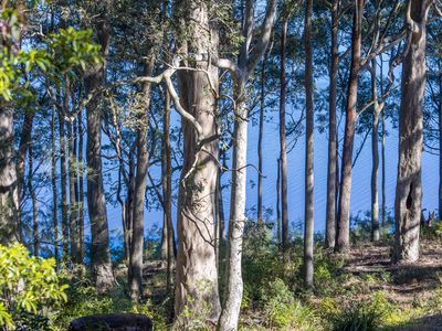 8 William Street, Kings Point