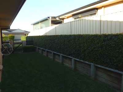 60 Wamara Crescent, Forster