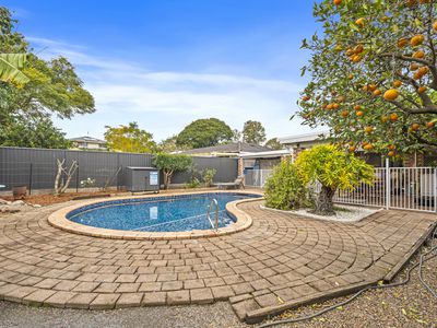 1 Rill Ct, Nerang
