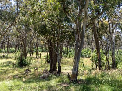 466 Burrendong Way, Orange