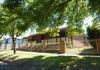 63 Edward Street, Molong