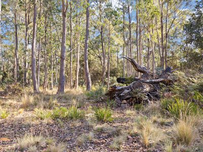 71 Lake View Road, Lake Leake