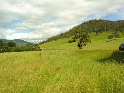 Sheoak Road, Judbury