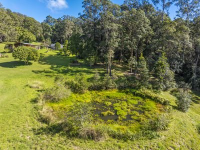 Nimbin