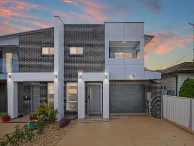 295 Canley Vale Road, Canley Heights