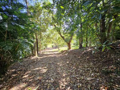 43 Mulligan Highway, Cooktown