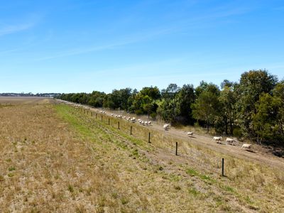 498 Four Tree Road, Lismore