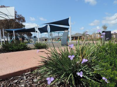 12 Skipton Street, Byford