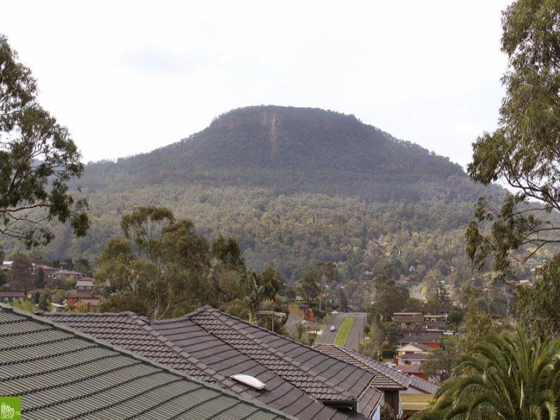 20 Zelang Avenue, Figtree