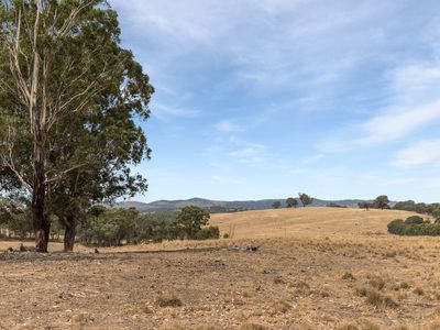 565 Dairy Flat Road, Heathcote