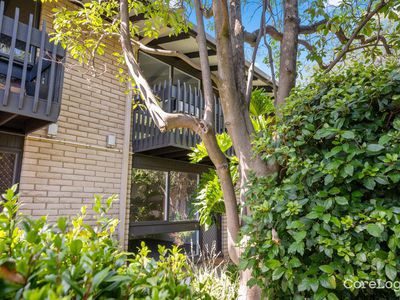 3 / 269 Belair Road, Torrens Park