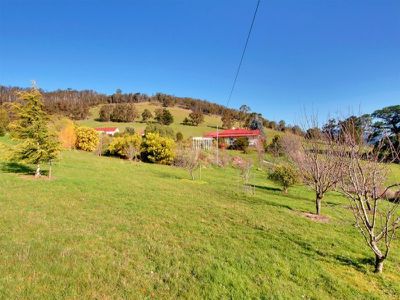 605 Wattle Grove Road, Wattle Grove