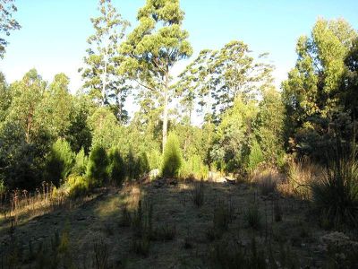 1 Maxfields Road, Franklin
