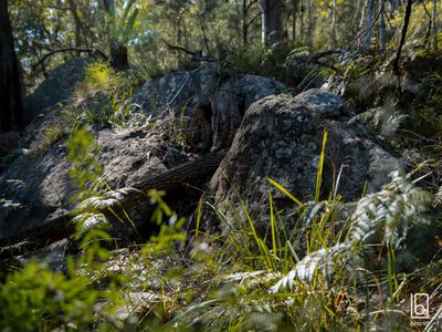 Lot 9 & Lot 10, 2824 Big Jims Reach, Hawkesbury River, Bar Point