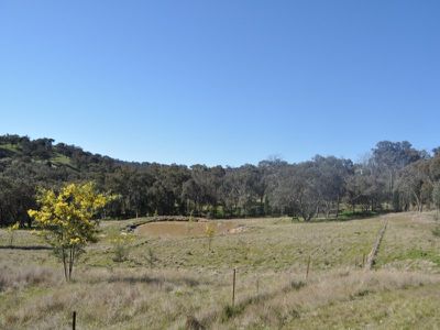 259 / Central Reserve Road, Ettamogah