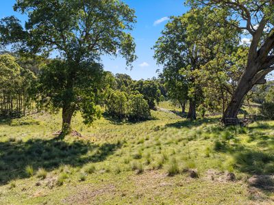 644 Sawyers Ridge Road, Braidwood