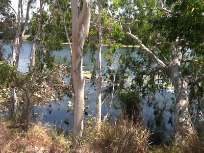 29 Waterlily Circuit, Douglas
