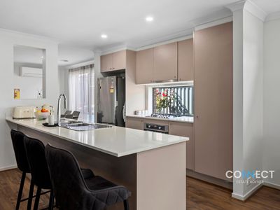 25 Macpherson Circuit, Cranbourne East