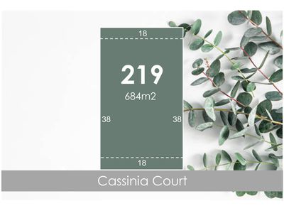 Lot 219, Cassinia Court, Campbells Creek