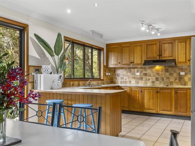 219 Upper Camp Mountain Road, Camp Mountain