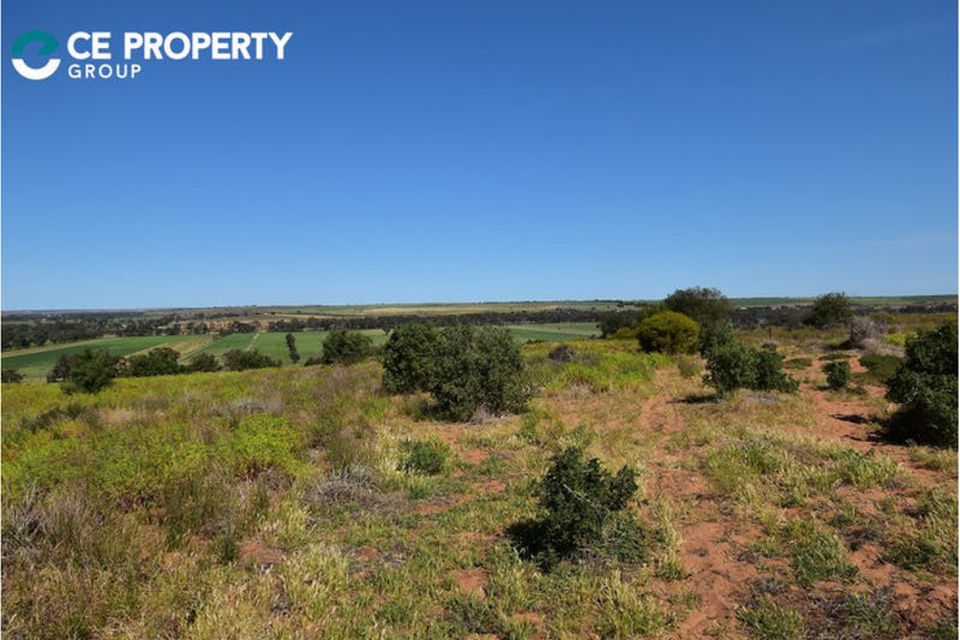 341  and 346,  Rundle Road, Ponde