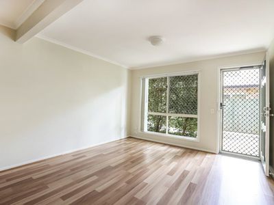 5 / 31 Baden Powell Street, Maroochydore