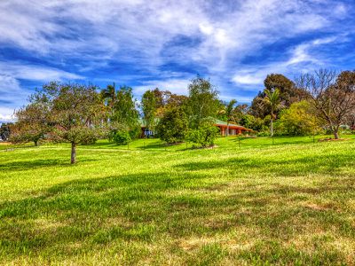 204 Wymah Road, Bowna
