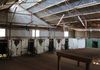 Lot 566 Coolgardie Esperance Highway, Salmon Gums