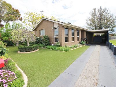 46 Hibiscus Crescent, Newcomb