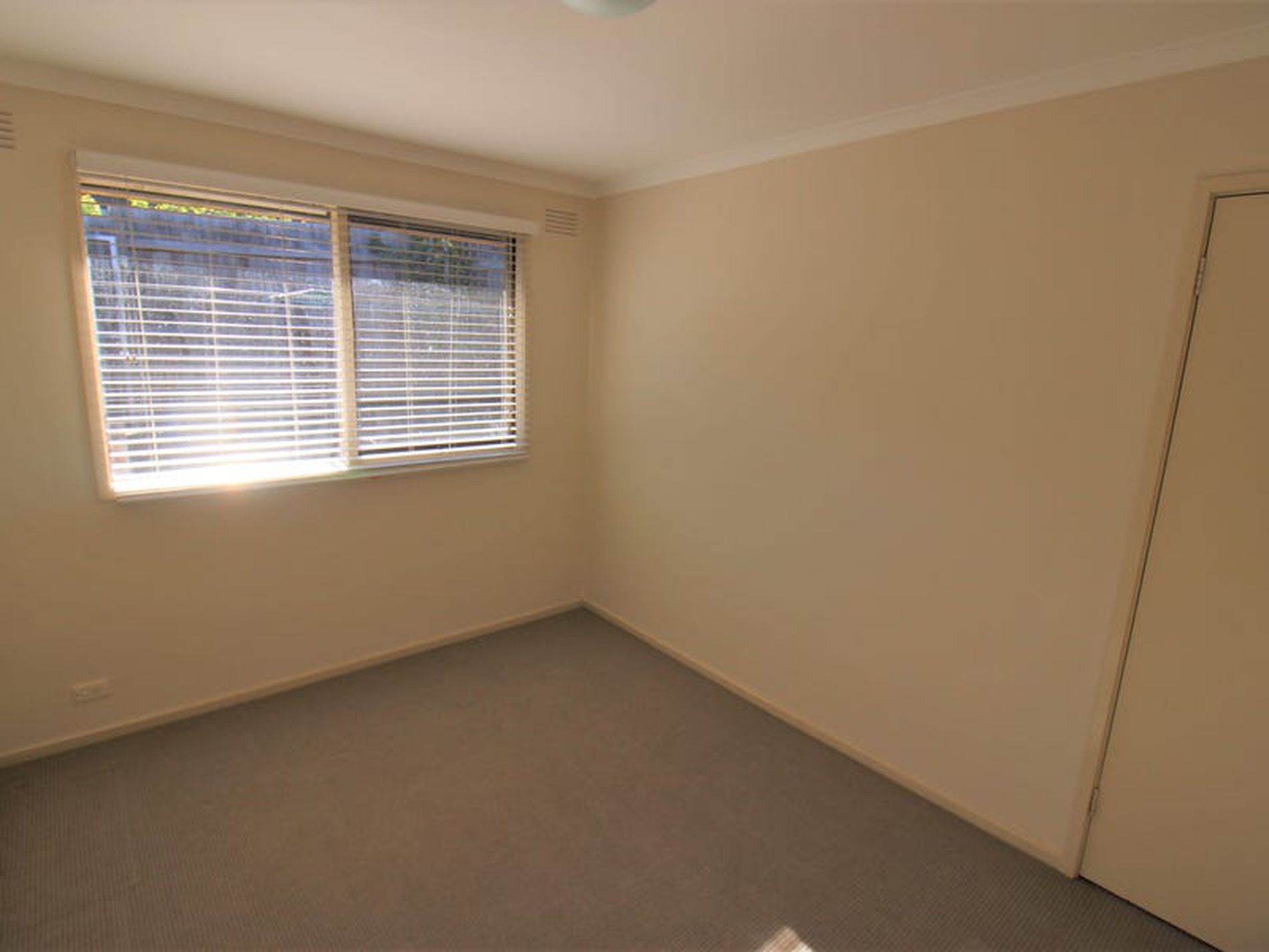 2 / 1 Holyrood Avenue, Newtown